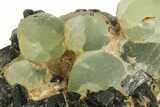 Botryoidal Prehnite and Epidote - Mali #219522-2